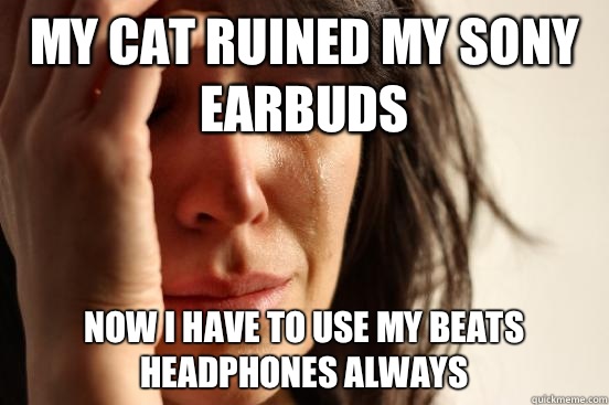 My cat ruined my sony earbuds Now I have to use my Beats headphones always - My cat ruined my sony earbuds Now I have to use my Beats headphones always  First World Problems