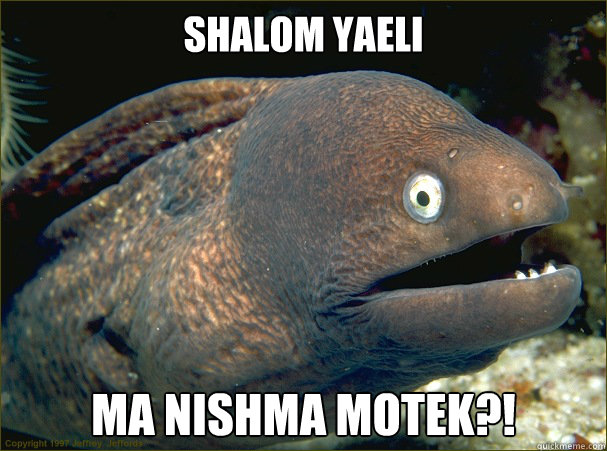 Shalom yaeli ma nishma motek?!  Bad Joke Eel