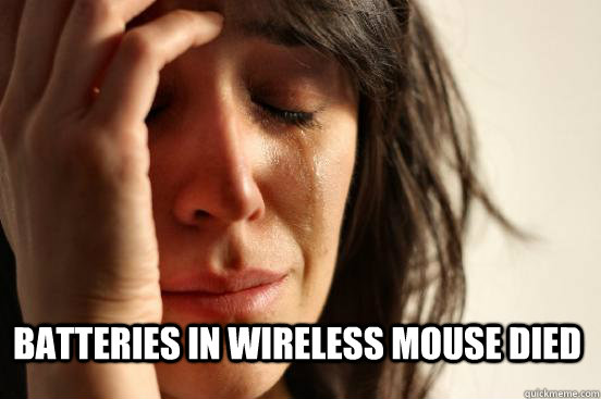  batteries in wireless mouse died  First World Problems