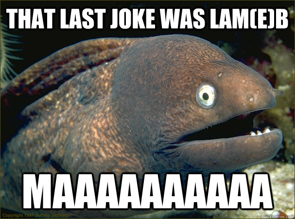 That last joke was lam(e)b maaaaaaaaaa  Bad Joke Eel