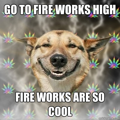 go to fire works high fire works are so cool  Stoner Dog