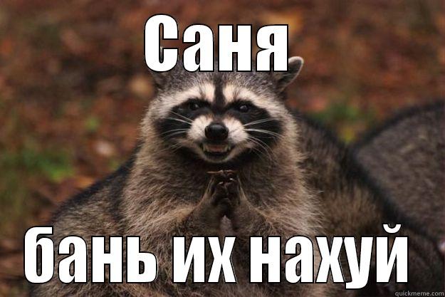 САНЯ БАНЬ ИХ НАХУЙ Evil Plotting Raccoon