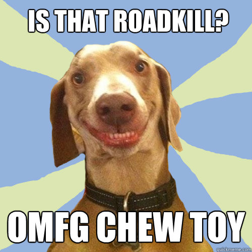 is that roadkill? omfg chew toy  Disgusting Doggy