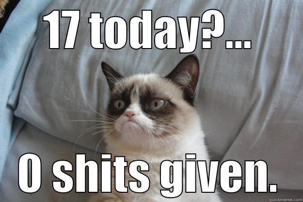 17 TODAY?... 0 SHITS GIVEN. Grumpy Cat