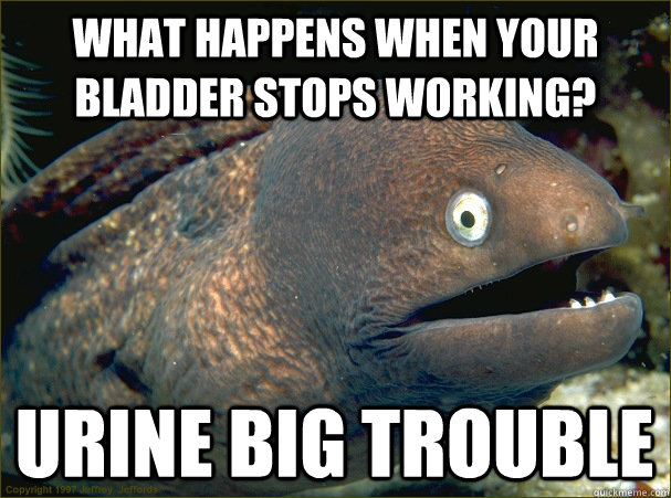 What happens when your bladder stops working?  urine big trouble  Bad Joke Eel