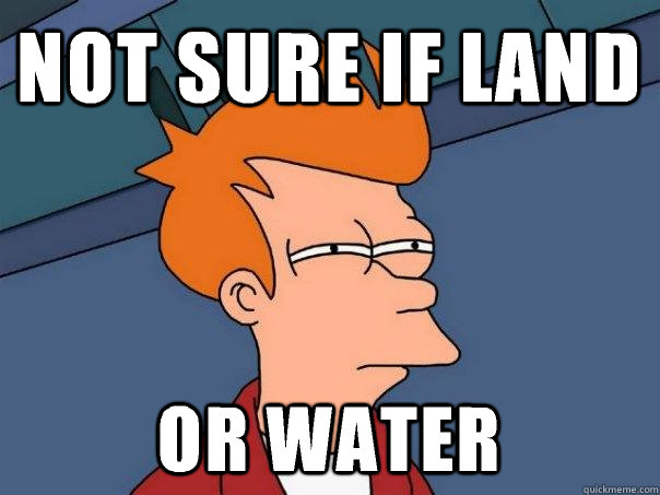 Not sure if land Or water  Futurama Fry