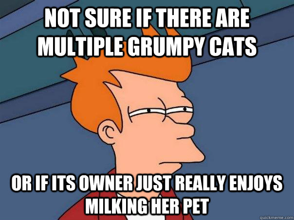 Not sure if there are multiple grumpy cats Or if Its owner just really enjoys milking her pet  Futurama Fry