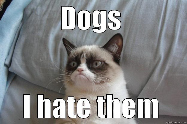 DOGS I HATE THEM Grumpy Cat