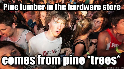 Pine lumber in the hardware store comes from pine *trees*   Sudden Clarity Clarence