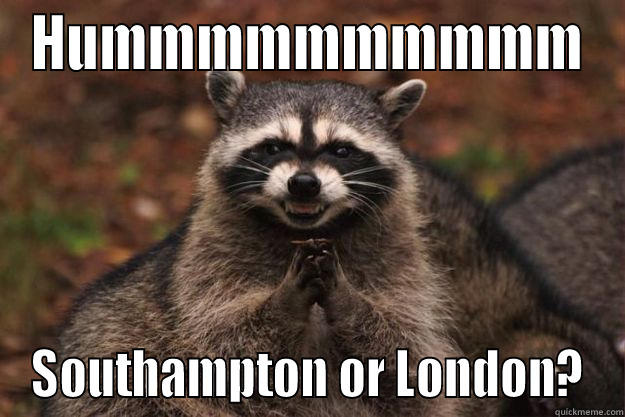 HUMMMMMMMMMM SOUTHAMPTON OR LONDON? Evil Plotting Raccoon