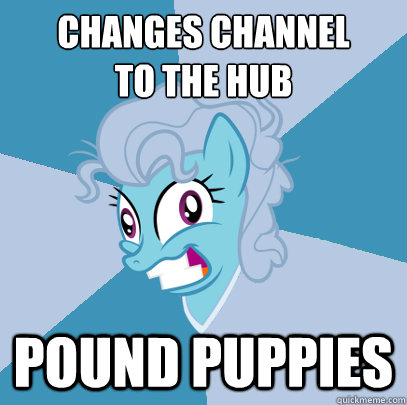 changes channel
to the hub pound puppies - changes channel
to the hub pound puppies  Advice Pony Screwloose