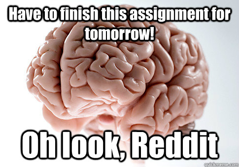 Have to finish this assignment for tomorrow! Oh look, Reddit  Scumbag Brain