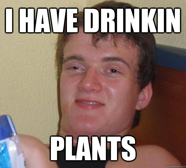 I have drinkin Plants - I have drinkin Plants  10 Guy