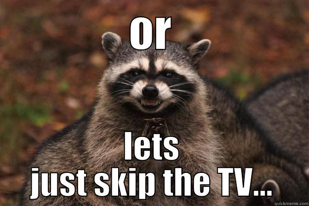 OR LETS JUST SKIP THE TV... Evil Plotting Raccoon