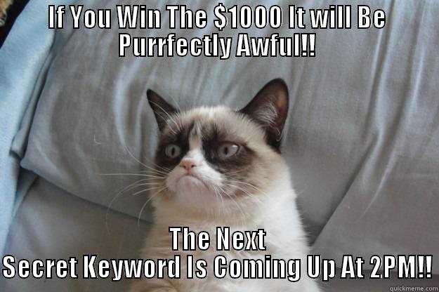 IF YOU WIN THE $1000 IT WILL BE PURRFECTLY AWFUL!! THE NEXT SECRET KEYWORD IS COMING UP AT 2PM!! Grumpy Cat