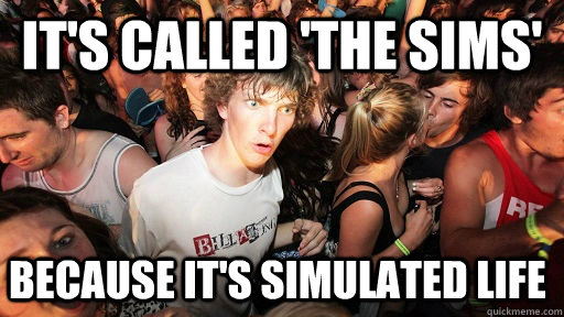 it's called 'the sims' because it's simulated life  Sudden Clarity Clarence