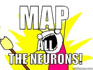 MAP ALL THE NEURONS! All The Things