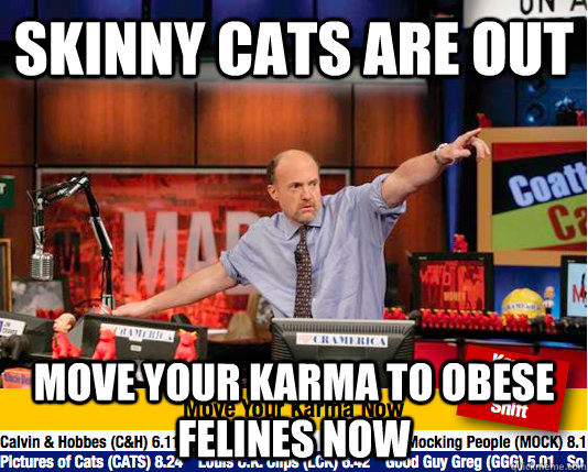 Skinny cats are out move your karma to obese felines now  Mad Karma with Jim Cramer