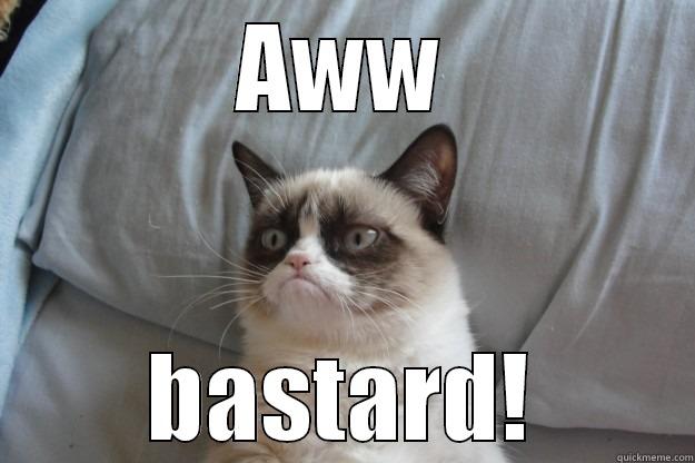 AWW BASTARD! Grumpy Cat