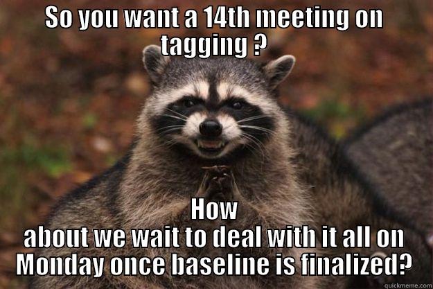 SO YOU WANT A 14TH MEETING ON TAGGING ? HOW ABOUT WE WAIT TO DEAL WITH IT ALL ON MONDAY ONCE BASELINE IS FINALIZED? Evil Plotting Raccoon