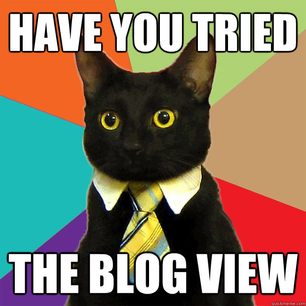 HAVE YOU TRIED THE BLOG VIEW  Business Cat