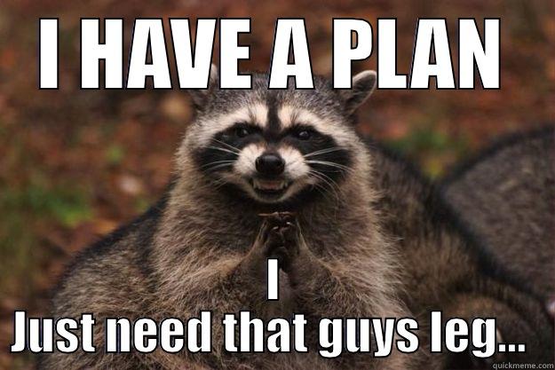 I HAVE A PLAN I JUST NEED THAT GUYS LEG...  Evil Plotting Raccoon