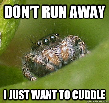 Don't run away I just want to cuddle  Misunderstood Spider