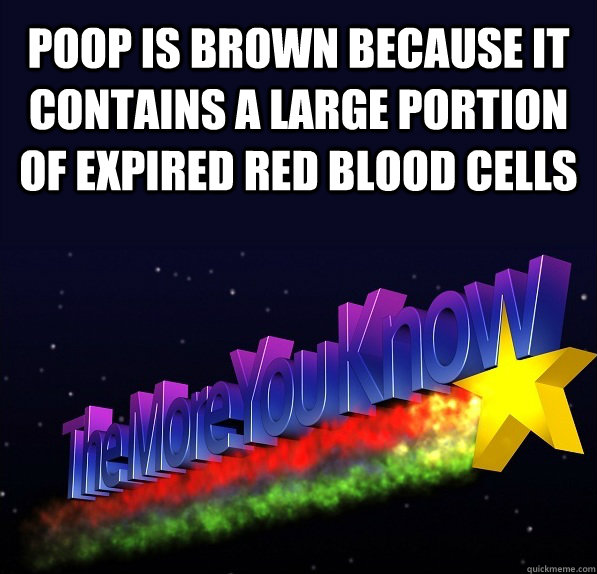 poop is brown because it contains a large portion of expired red blood cells - poop is brown because it contains a large portion of expired red blood cells  The More One Knows