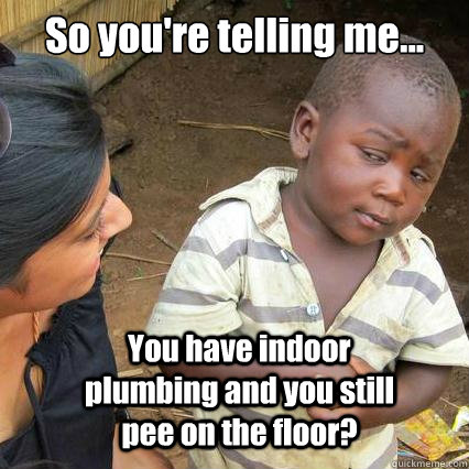 So you're telling me... You have indoor plumbing and you still pee on the floor?  So youre telling me