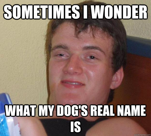 Sometimes I wonder What my dog's REAL name is - Sometimes I wonder What my dog's REAL name is  10 Guy