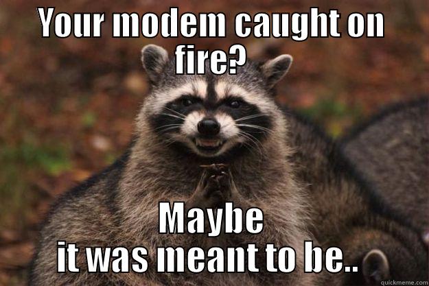 YOUR MODEM CAUGHT ON FIRE? MAYBE IT WAS MEANT TO BE..  Evil Plotting Raccoon