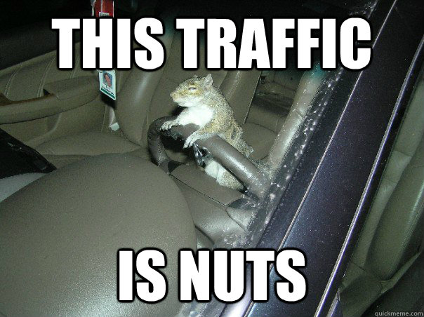 this traffic is nuts - this traffic is nuts  Misc