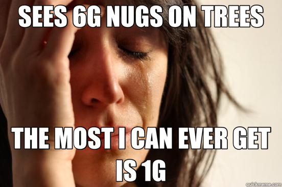 SEES 6G NUGS ON TREES THE MOST I CAN EVER GET IS 1G  First World Problems