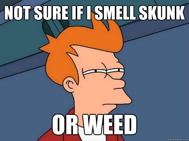 Not sure if i smell skunk Or weed  Futurama Fry