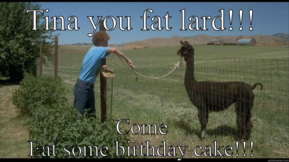 Fat lard birthday cake - TINA YOU FAT LARD!!! COME EAT SOME BIRTHDAY CAKE!!! Misc