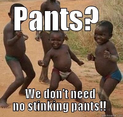 who needs pants - PANTS?  WE DON'T NEED NO STINKING PANTS!!  Misc