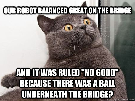 Our robot balanced great on the bridge And it was ruled 