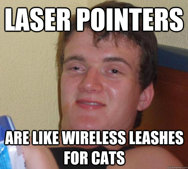 Laser pointers   are like wireless leashes for cats - Laser pointers   are like wireless leashes for cats  10 Guy