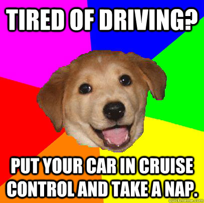 Tired of driving? Put your car in cruise control and take a nap.  Advice Dog