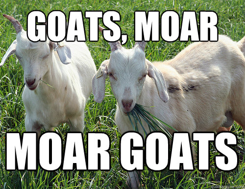 Goats, moar moar goats - Goats, moar moar goats  Goats