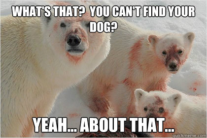 What's that?  You can't find your dog? Yeah... about that...  Bad News Bears