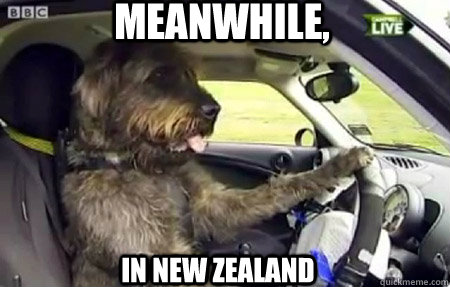 Meanwhile,  In New Zealand - Meanwhile,  In New Zealand  Misc