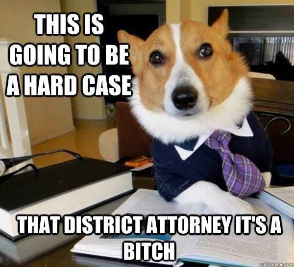 This is going to be a hard case That district attorney it's a bitch  Lawyer Dog