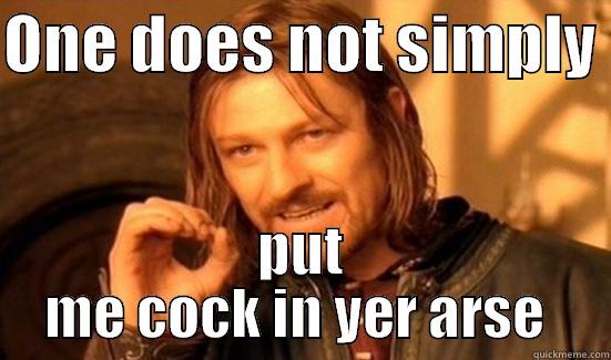 Sean meme - ONE DOES NOT SIMPLY  PUT ME COCK IN YER ARSE  Boromir