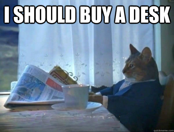 I should buy a desk   morning realization newspaper cat meme