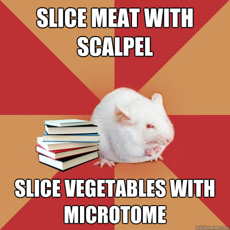 slice meat with scalpel slice vegetables with microtome  Science Major Mouse