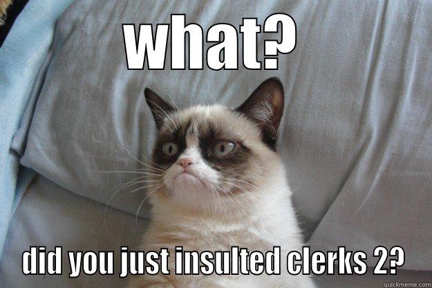 WHAT? DID YOU JUST INSULTED CLERKS 2? Grumpy Cat