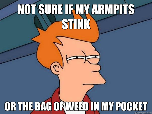 Not sure if my armpits stink Or The bag of weed in my pocket  Futurama Fry