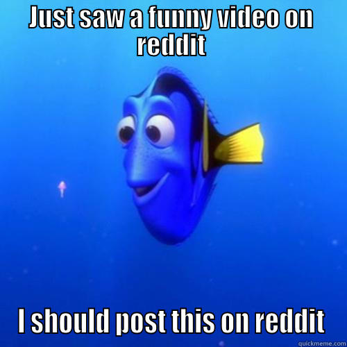 JUST SAW A FUNNY VIDEO ON REDDIT I SHOULD POST THIS ON REDDIT dory