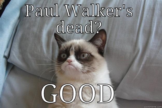 PAUL WALKER'S DEAD? GOOD Grumpy Cat